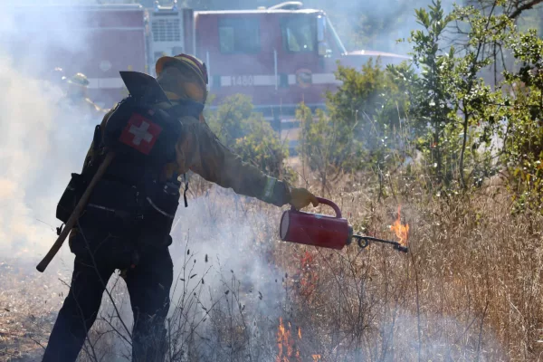 attempted-prescribed-burn-at-trione-annadel-state-park-10-28-24-cal-fire