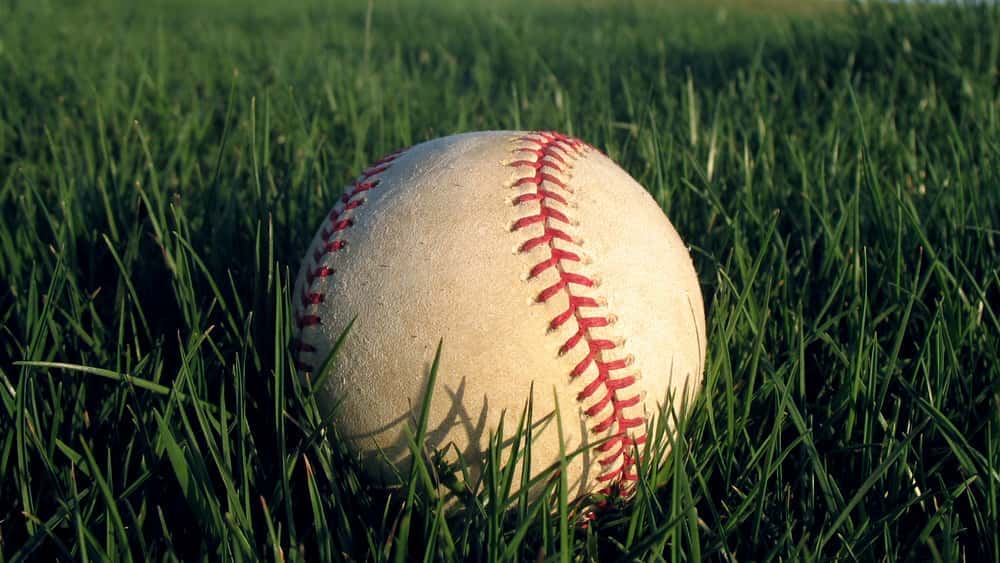 tmp0ac2d1ff-a728-44e1-a6e3-6255ac762f00-jpg