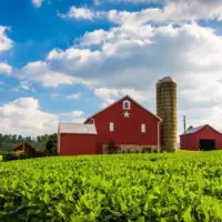 Beautiful farm field and barn on a farm near Spring Grove^ Pennsylvania.