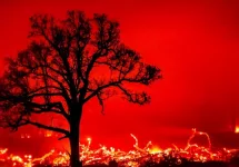 Shot in a remote area of Oklahoma in 2017 in the middle of wildfire