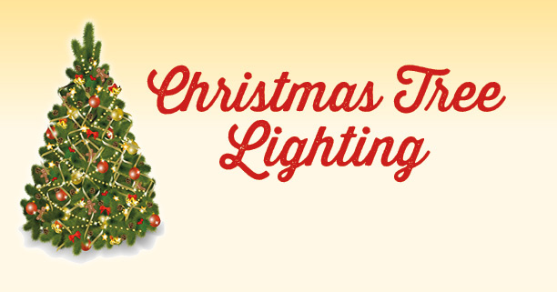 Image result for christmas tree lighting