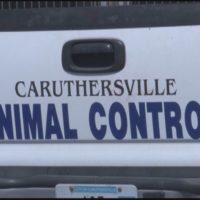 cville-animal-control-2
