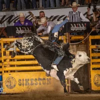 rodeo-bullriding