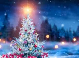 Christmas Tree And Gift Boxes On Snow In Night With Shiny Star and Forest - Winter Abstract Landscape