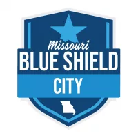 blue-shield-city