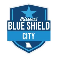 blue-shield-city-2