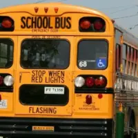 bus-8