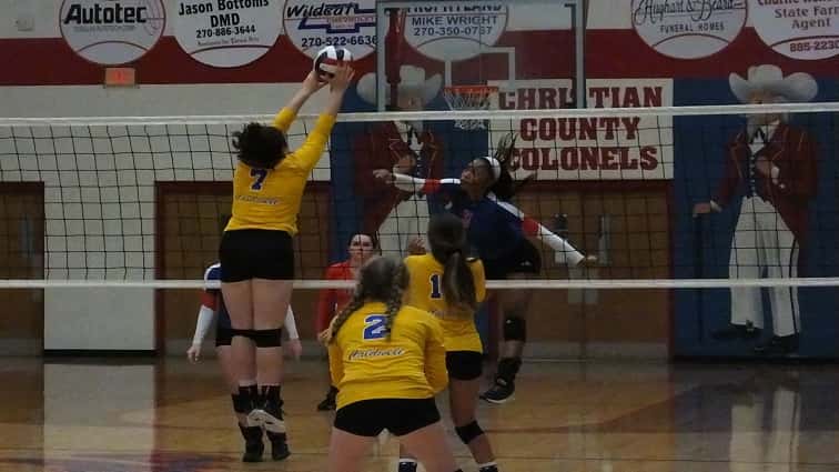 volleyball-gallery-aug-15