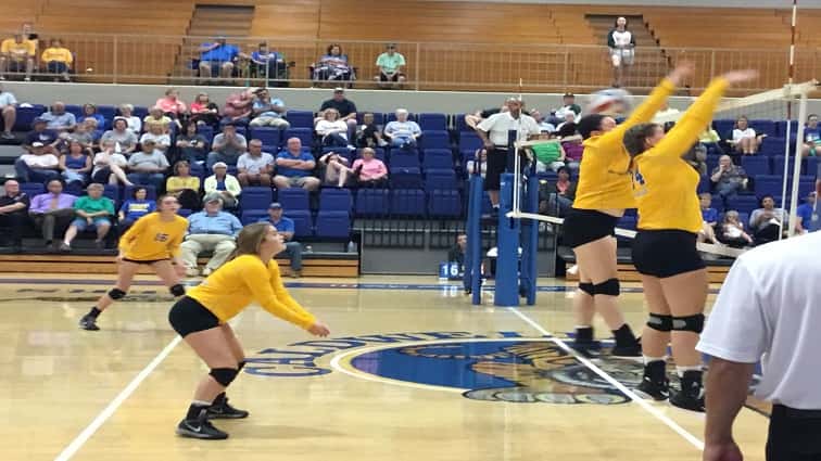 feature-all-a-volleyball