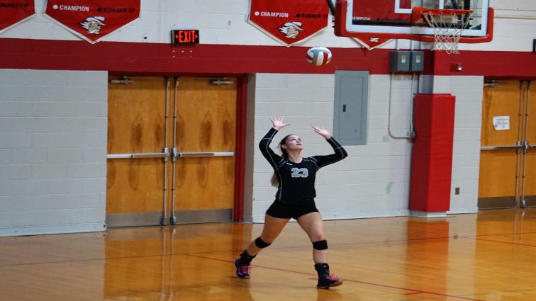 trigg-todd-volleyball-aug-31-13