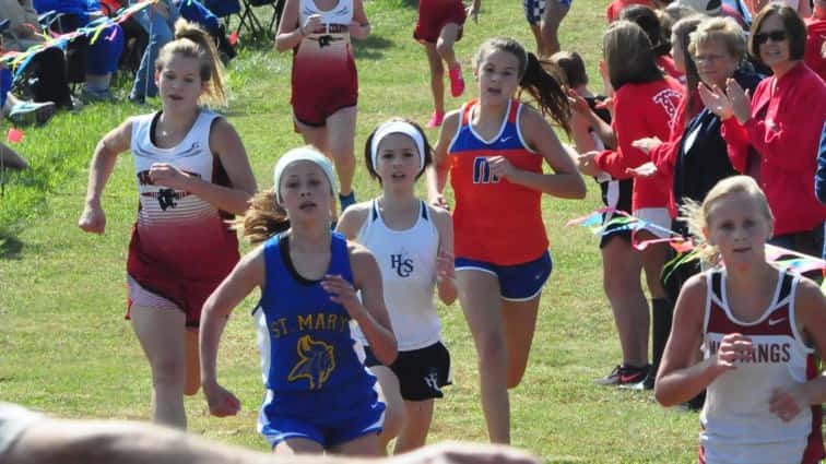 9-3-hca-runners