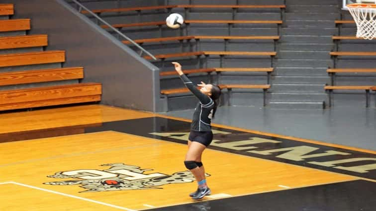 trigg-union-volleyball-14