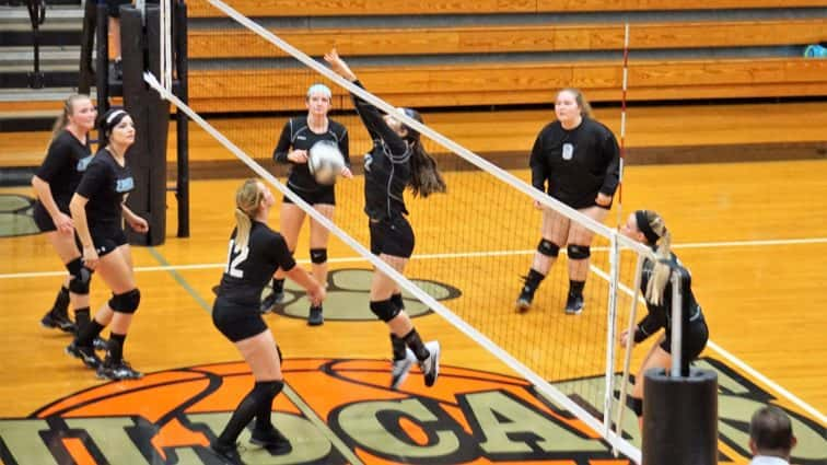 trigg-union-volleyball-16