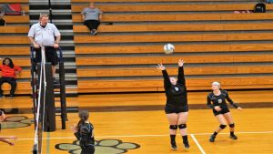 trigg-union-volleyball-19