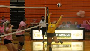 volleyball-hhs-1-vs-caldwell-3-38-092817