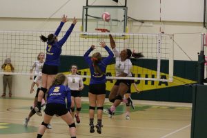 volleyball-uha-2-vs-caldwell-3-6-100317