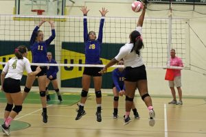 volleyball-uha-2-vs-caldwell-3-14-100317