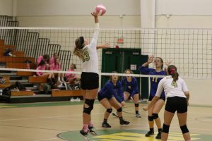 volleyball-uha-2-vs-caldwell-3-15-100317