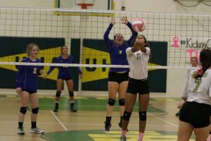 volleyball-uha-2-vs-caldwell-3-22-100317