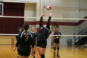 volleyball-todd-3-vs-ft-campbell-0-12-101017-2