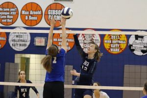 volleyball-hca-2-vs-sayers-1-1-102117-2