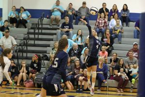 volleyball-hca-2-vs-sayers-1-3-102117-2