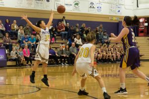 basketball-girls-dawson-springs-vs-lyon-county-10-120117-2-2