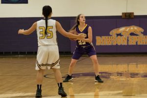 basketball-girls-dawson-springs-vs-lyon-county-34-120117