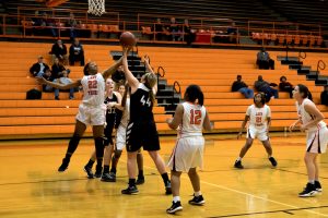 basketball-girls-hhs-vs-trigg-22-121417