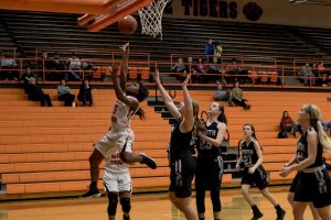 basketball-girls-hhs-vs-south-warren-24-021518