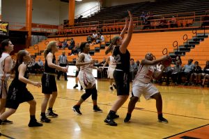 basketball-girls-hhs-vs-south-warren-25-021518