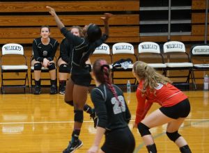 rossview-vs-lady-wildcats-8-13-18-01