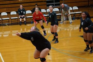 rossview-vs-lady-wildcats-8-13-18-05