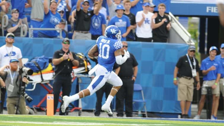 rose-td