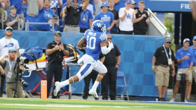 rose-td