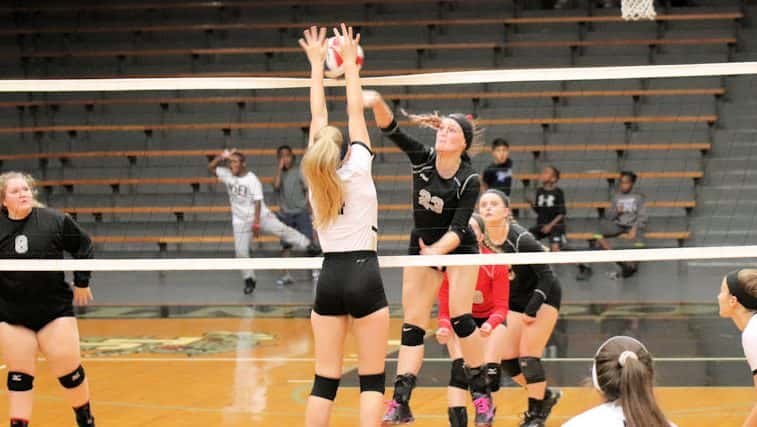 trigg-volleyball-vs-murray-36