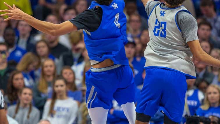 uk-blue-white-2018-61