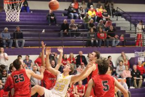 lyons-basketball-vs-livingston-30