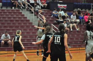 dsc_1803_edited