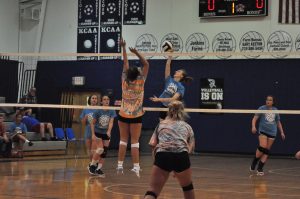 dsc_2792-2