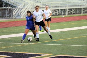 lady-falcons-vs-crittenden-co-40-2