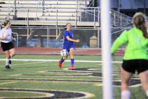 lady-falcons-vs-crittenden-co-116-2