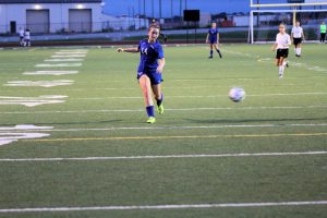 lady-falcons-vs-crittenden-co-120-2