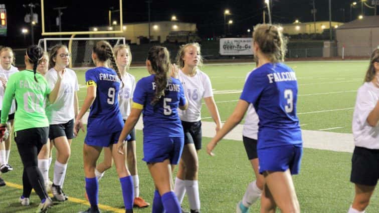 lady-falcons-vs-crittenden-co-207-2