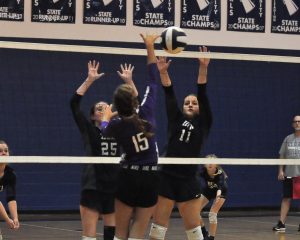 dsc_4593_edited-2