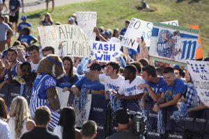 wildcat-with-fans