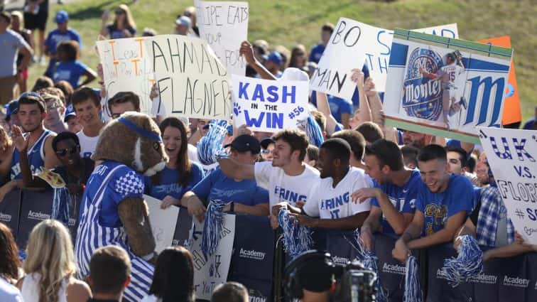 wildcat-with-fans