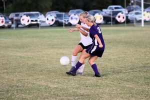 lyon-co-vs-crittenden-co-41