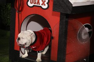 wet-uga