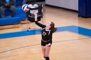 volleyball-district-20